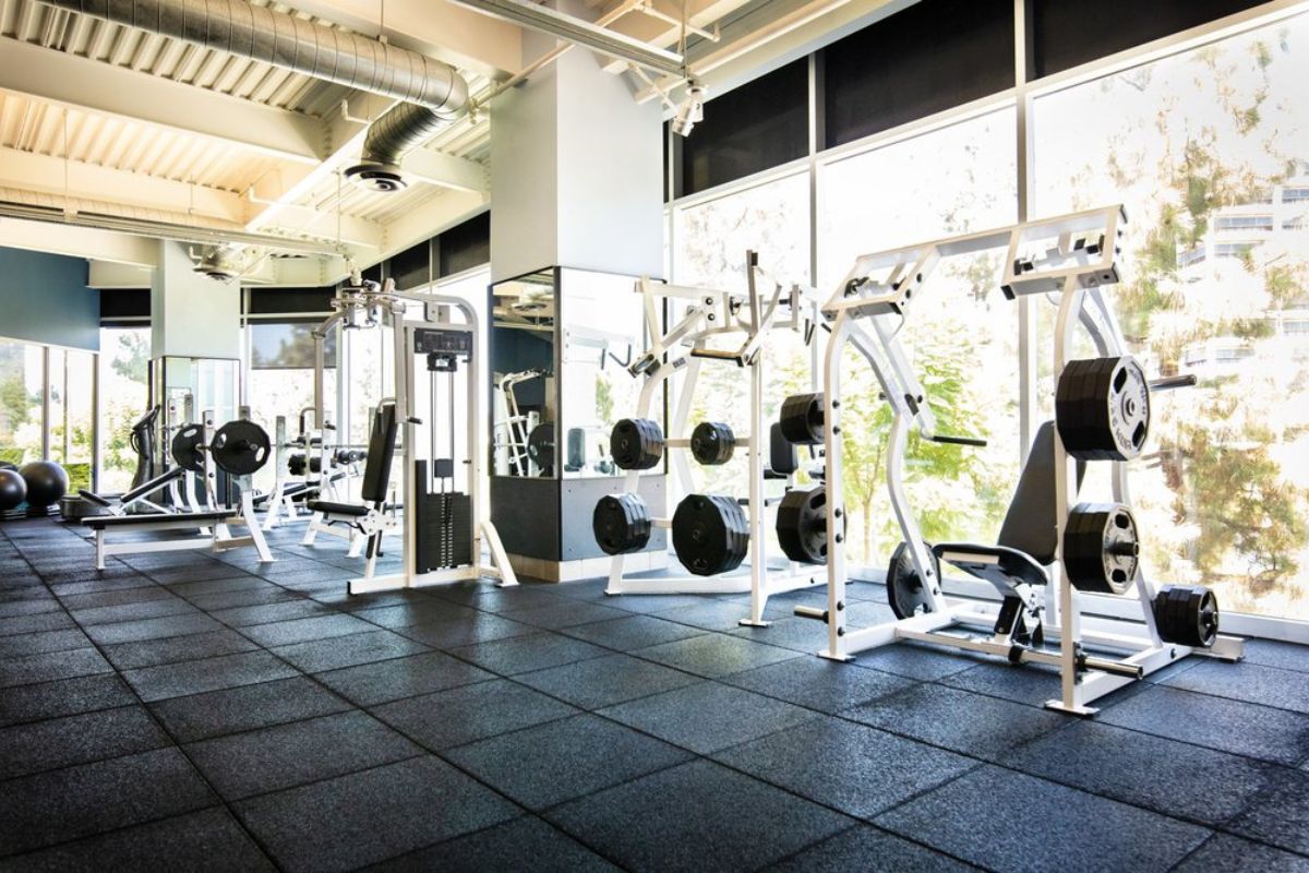 5 Best Gyms In Woodland Hills LA, California Rate Your Burn