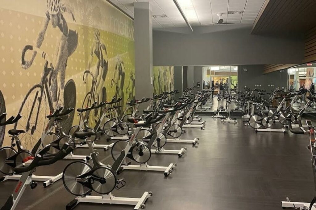5 Best Gyms In Staten Island New York Rate Your Burn